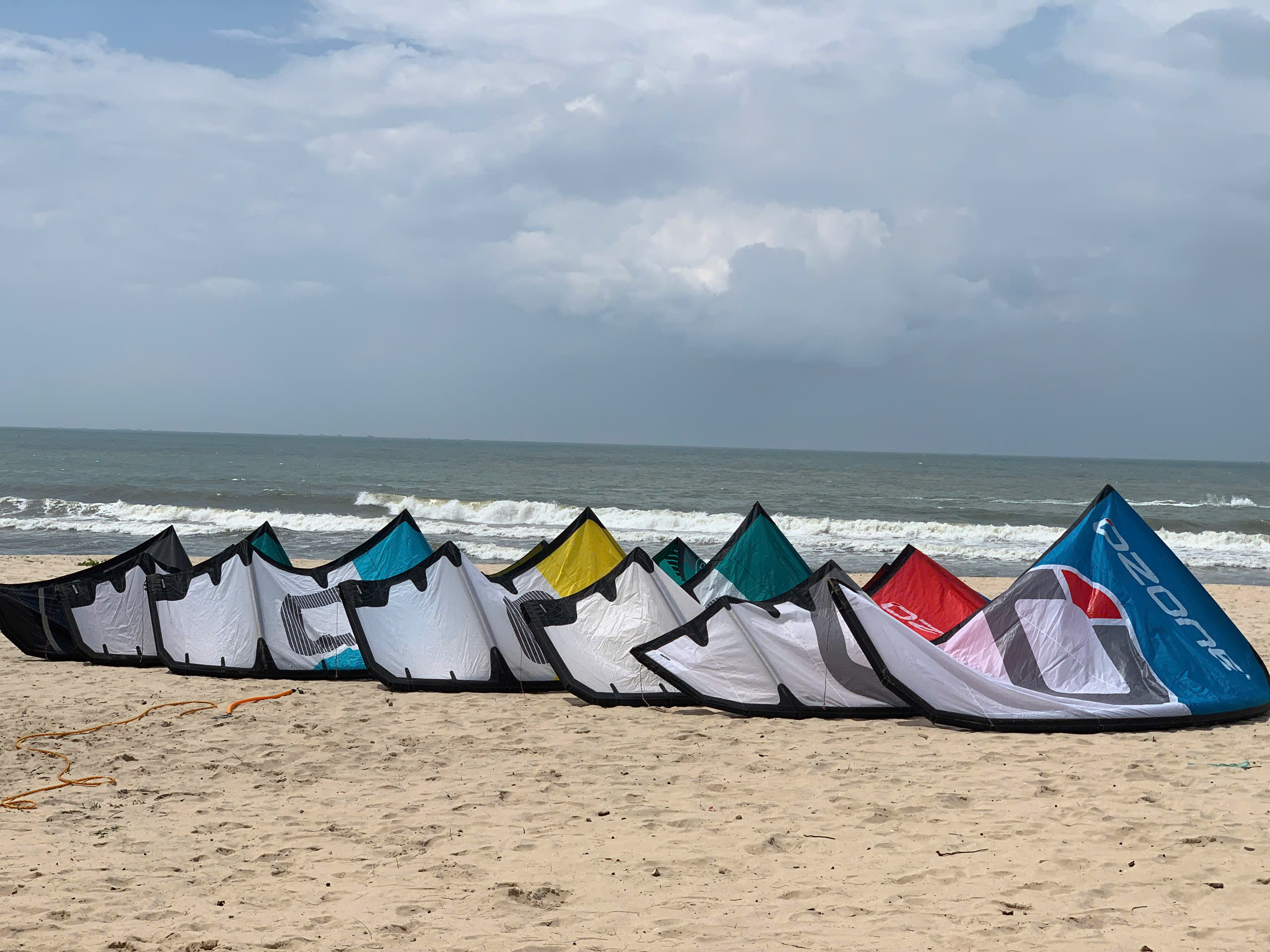 Kites laid out in a row on the beach beside the sea